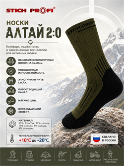 Носки Алтай 2:0 6591