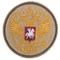 Патч "Герб РФ" (80х80 мм) 880918867 - фото 20622