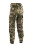Брюки тактические «Пентагон» 5958_F1D73 - фото 22550